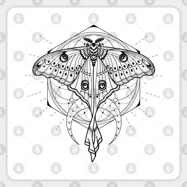 Luna Moth - Actias Luna Sticker by CelestialStudio